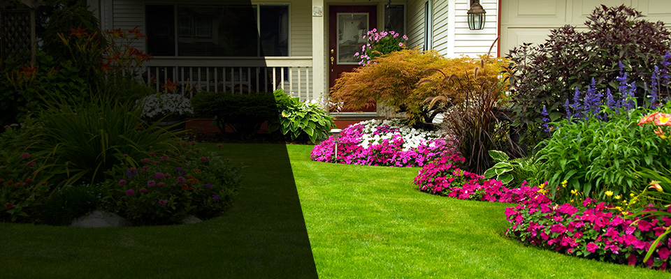 Theodore Landscapers