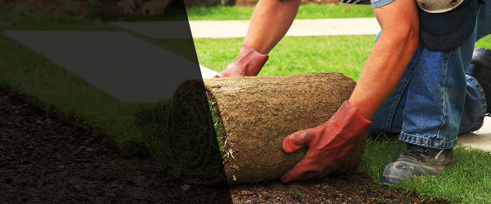Theodore Landscapers